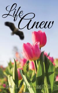 Cover image: Life Anew 9781482874266