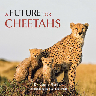 Imagen de portada: A Future for Cheetahs 9781482878486