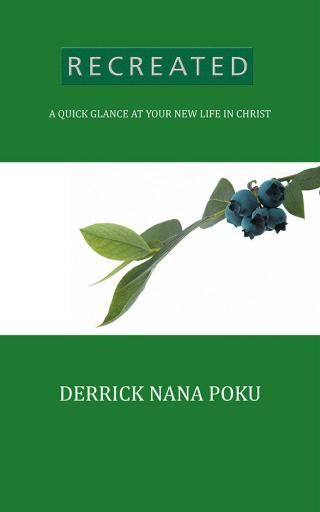 Cover image: Recreated 9781482879445