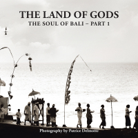 Cover image: The Land of Gods 9781482880793