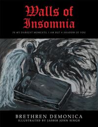 Imagen de portada: Walls of Insomnia 9781482882841