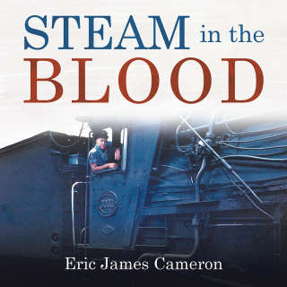 Imagen de portada: Steam in the Blood 9781482883312