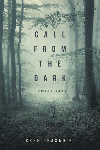 Imagen de portada: Call from the Dark 9781482887280