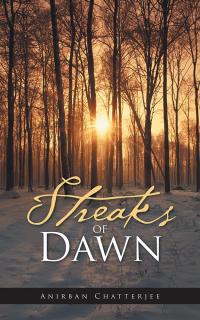 表紙画像: Streaks of Dawn 9781482887969