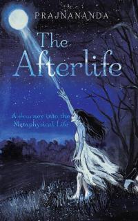 Cover image: The Afterlife 9781482889130