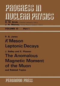 Imagen de portada: K Meson Leptonic Decays 9780080157665