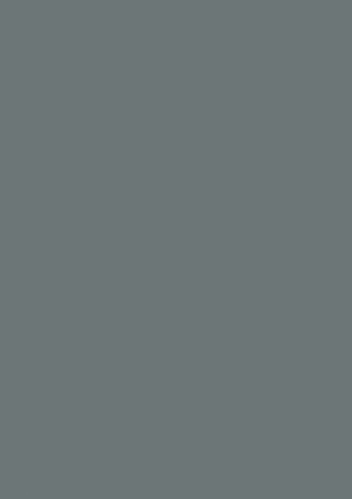 表紙画像: Directional Solidification of Steel Castings 9780080105369