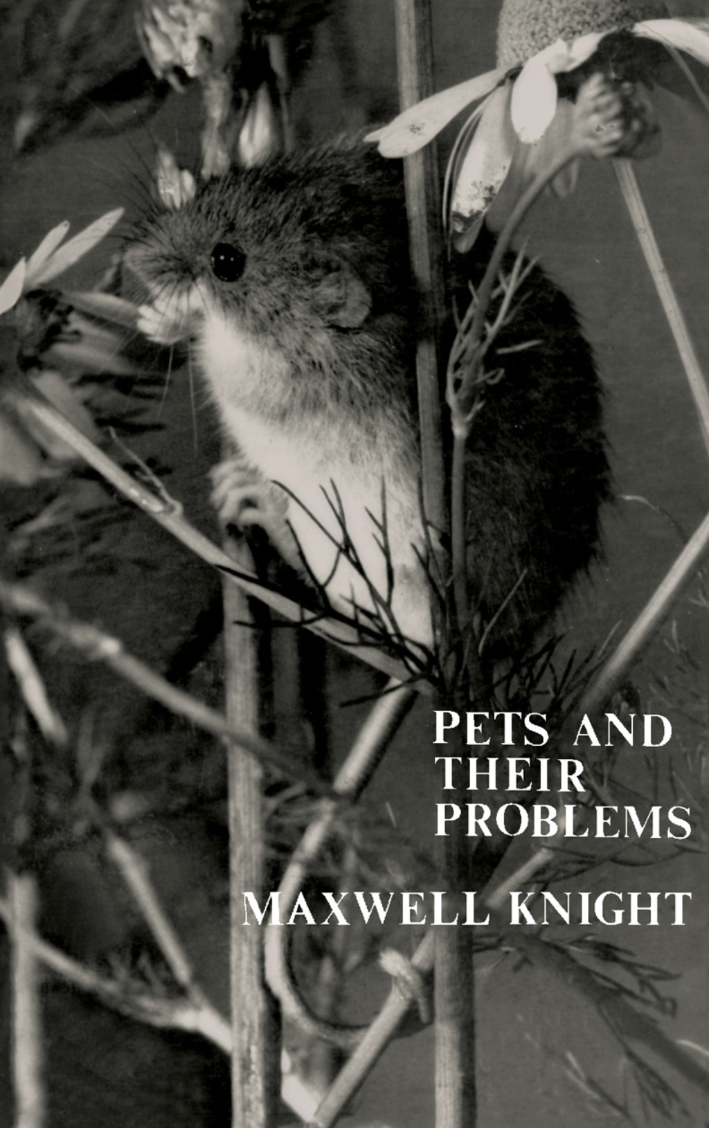 Pets and Their Problems A Guide for Animal Lovers