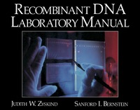 表紙画像: Recombinant DNA Laboratory Manual 9780127844008