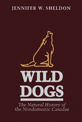 Cover image: Wild Dogs 9780126393750