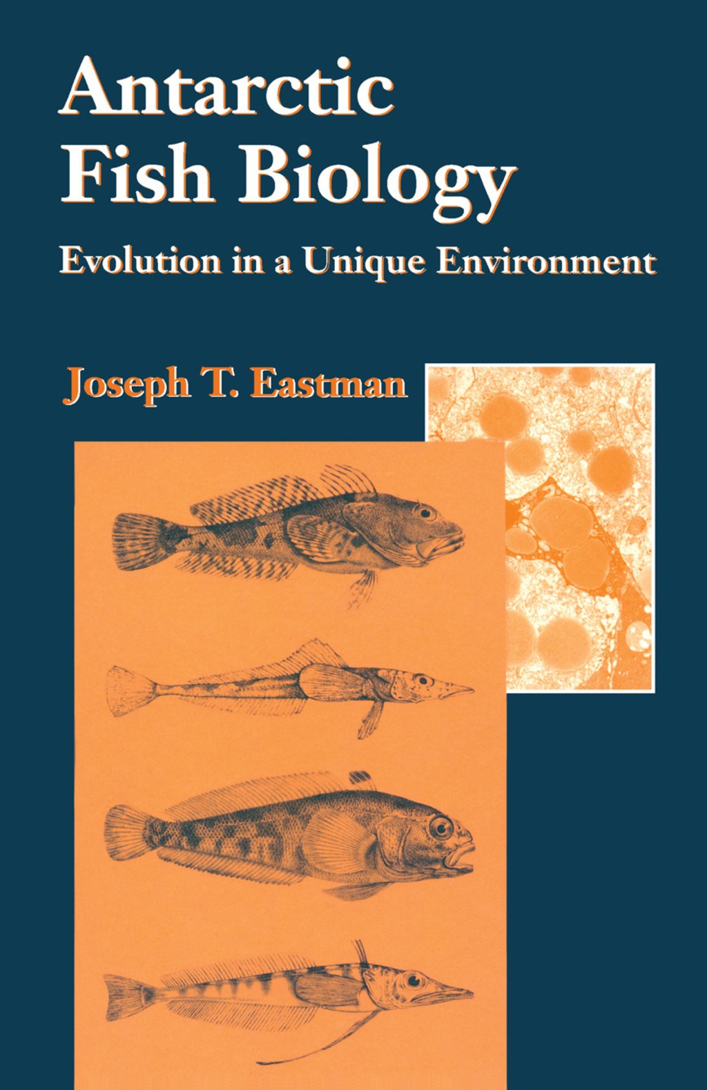 Antarctic Fish Biology Evolution in a Unique Environment