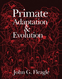 صورة الغلاف: Primate Adaptation and Evolution 9780122603402