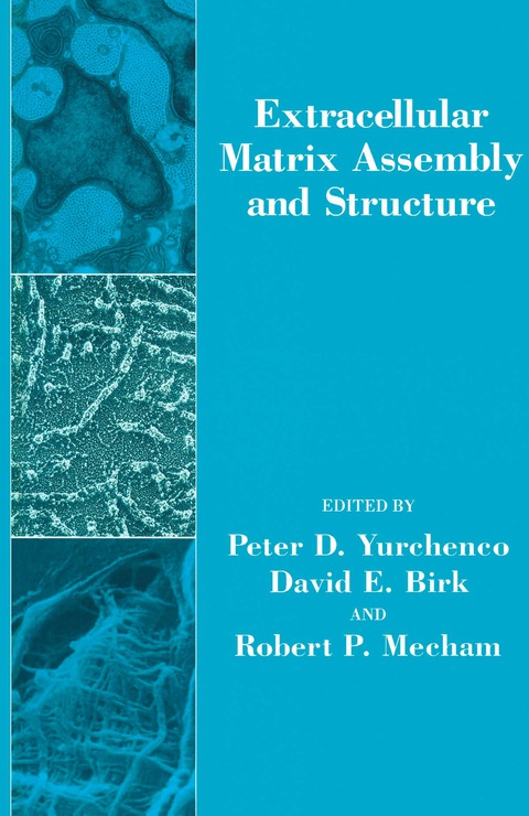 Extracellular Matrix Assembly and Structure - FULL INSTANT DOWNLOAD | PDF DOCX EPUB