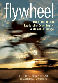 Omslagafbeelding: Flywheel 1st edition 9781452260914