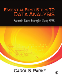Immagine di copertina: Essential First Steps to Data Analysis 1st edition 9781412997515