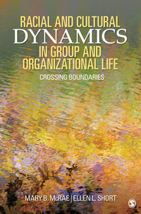Omslagafbeelding: Racial and Cultural Dynamics in Group and Organizational Life 1st edition 9781412939867