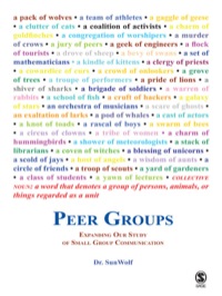 Imagen de portada: Peer Groups 1st edition 9781412926867