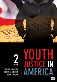 Titelbild: Youth Justice in America 2nd edition 9781483319162
