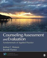 صورة الغلاف: Counseling Assessment and Evaluation 1st edition 9781452226248