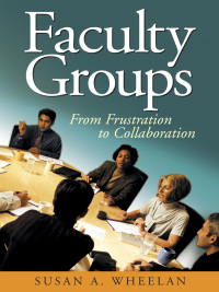 Cover image: Faculty Groups 1st edition 9780761931669