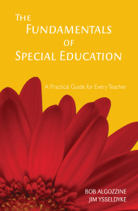 Imagen de portada: The Fundamentals of Special Education 1st edition 9781412938945
