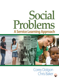 表紙画像: Social Problems 1st edition 9780761929475