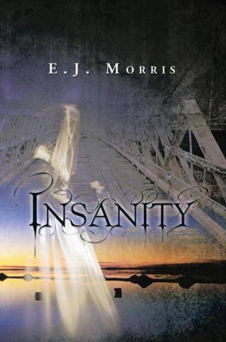 表紙画像: Insanity 9781483615547