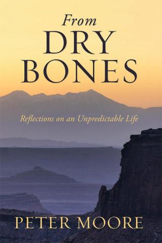 Imagen de portada: From Dry Bones 9781483660301
