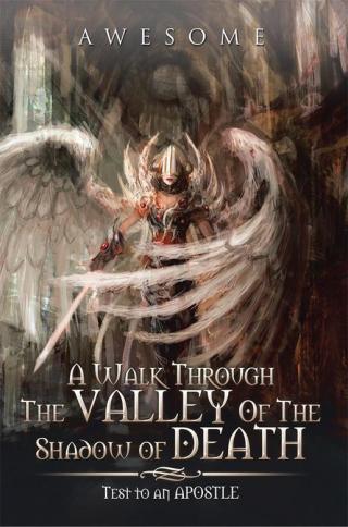 Cover image: A Walk Through the Valley of the Shadow of Death 9781483676098