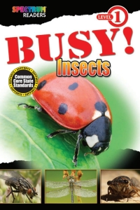 Cover image: BUSY! Insects 9781483801148