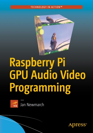Imagen de portada: Raspberry Pi GPU Audio Video Programming 9781484224717