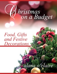 صورة الغلاف: Christmas on a Budget 9781742445786