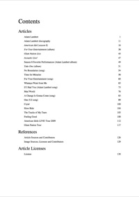 Titelbild: The Adam Lambert Handbook - Everything you need to know about Adam Lambert 9781742449630