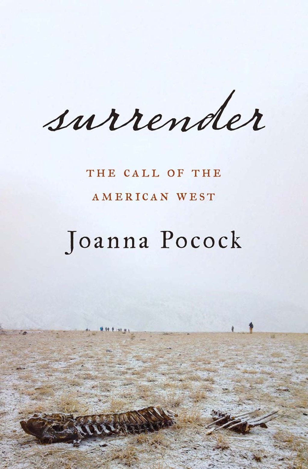Surrender (eBook)