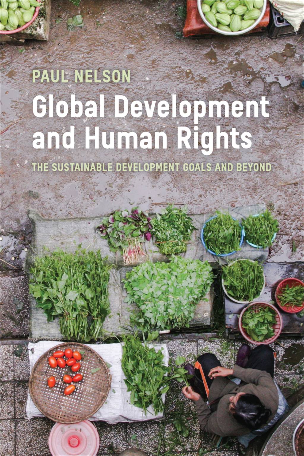 Global Development and Human Rights The Sustainable Development Goals and Beyond 1st Edition