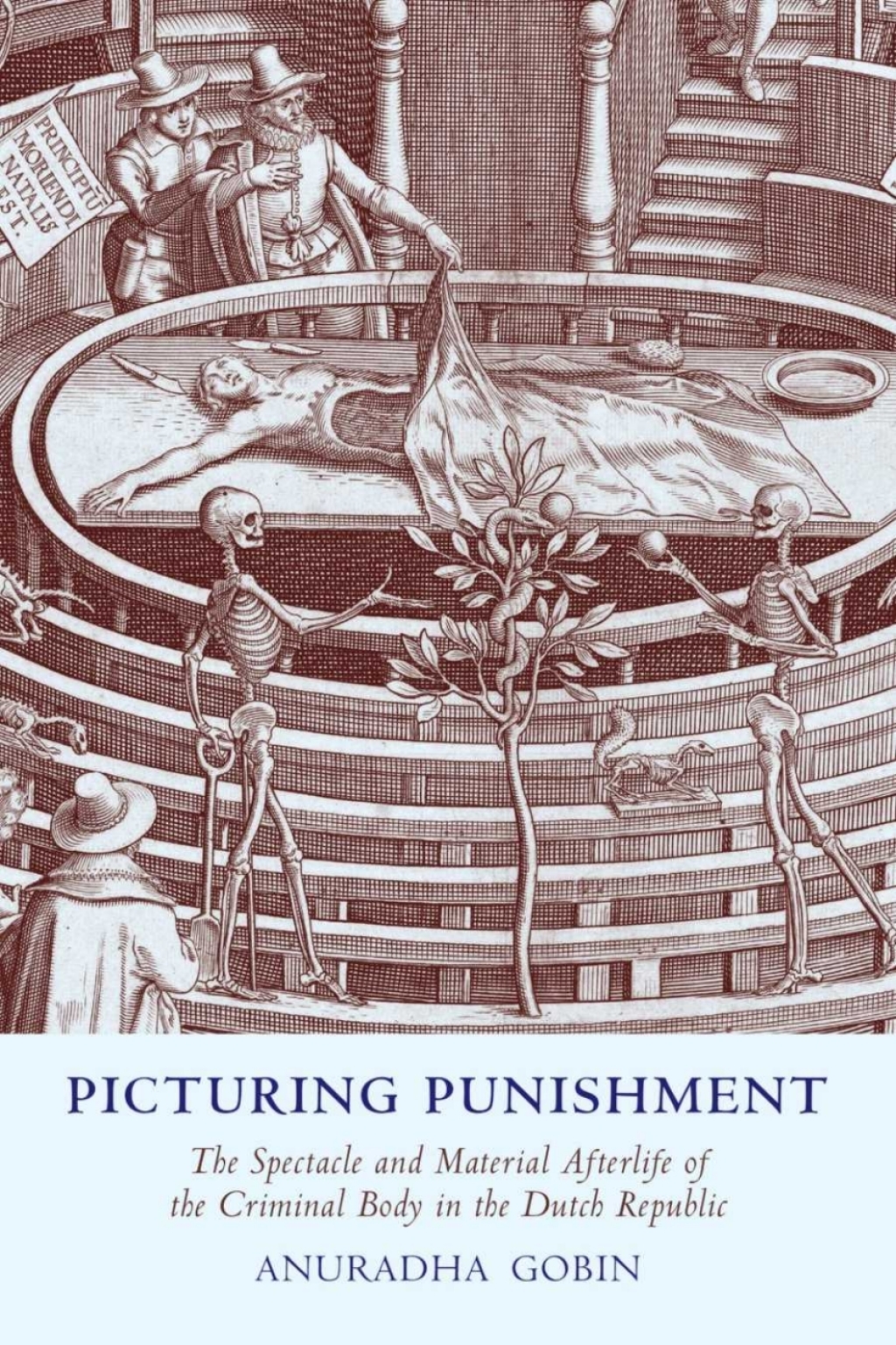 Picturing Punishment The Spectacle and Material Afterlife of the Criminal Body in the Dutch Republic 1st Edition