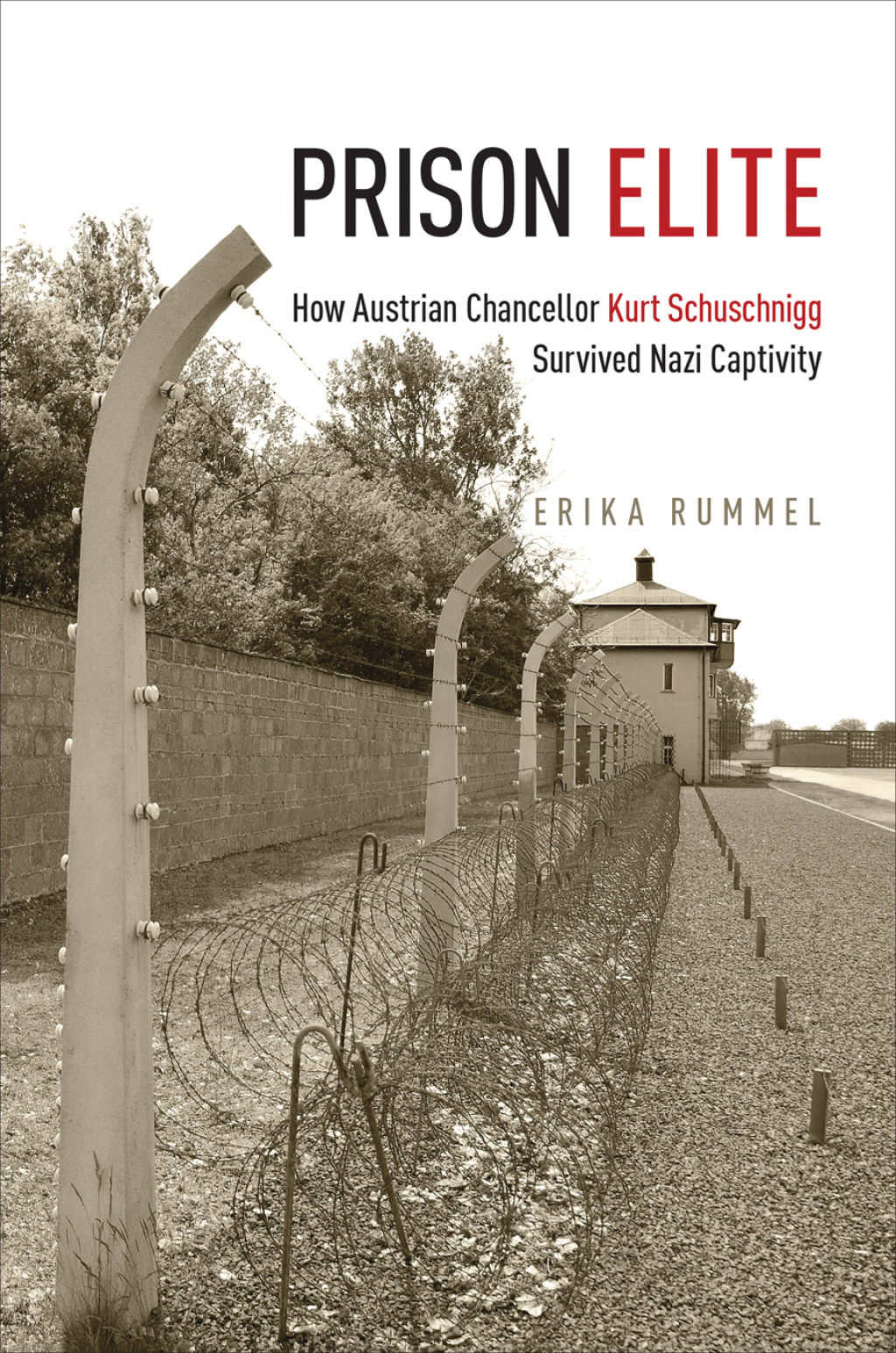 Prison Elite How Austrian Chancellor Kurt Schuschnigg Survived Nazi Captivity 1st Edition