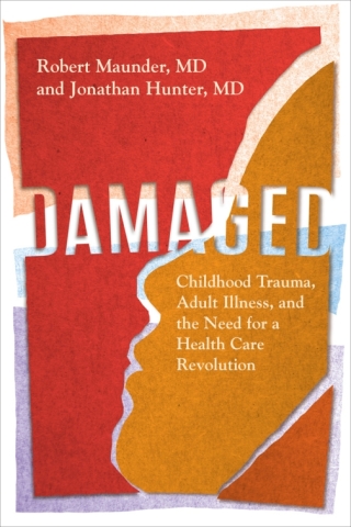 Imagen de portada: Damaged 1st edition 9781487528355