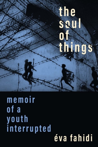 Cover image: The Soul of Things 1st edition 9781487525125