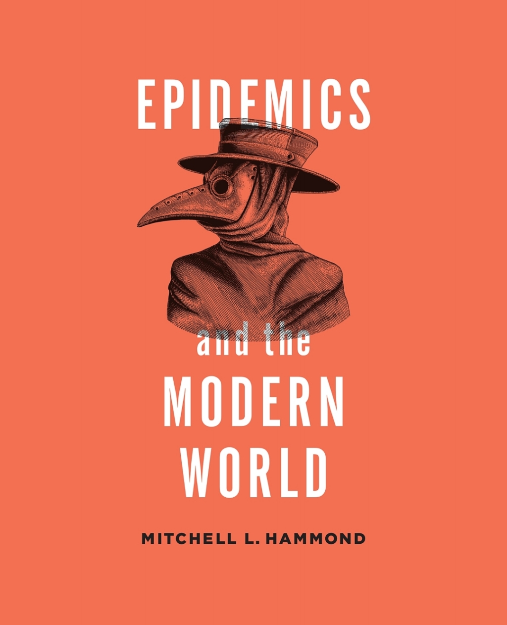 Epidemics and the Modern World 1st Edition
