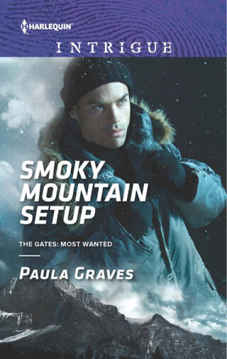 Cover image: Smoky Mountain Setup 9780373698790