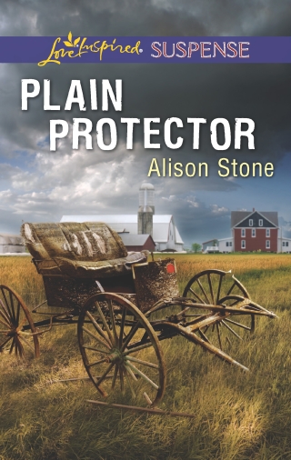 Cover image: Plain Protector 9780373447435