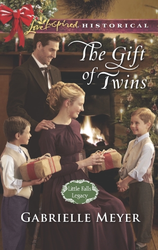 Cover image: The Gift of Twins 9780373425532