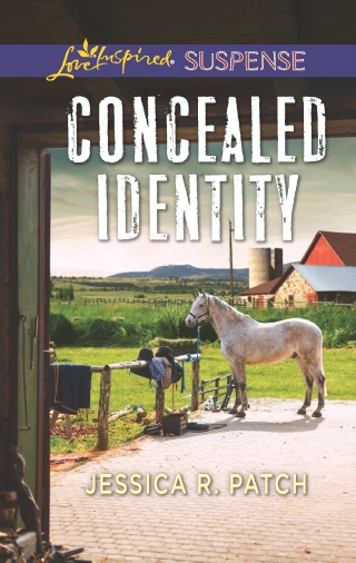 Imagen de portada: Concealed Identity 9780373456857