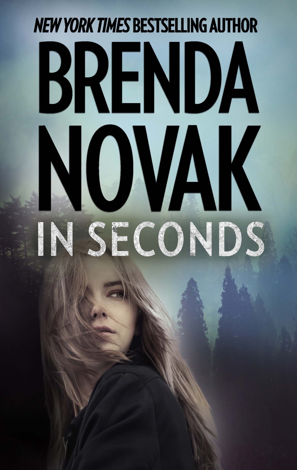 In Seconds eBook