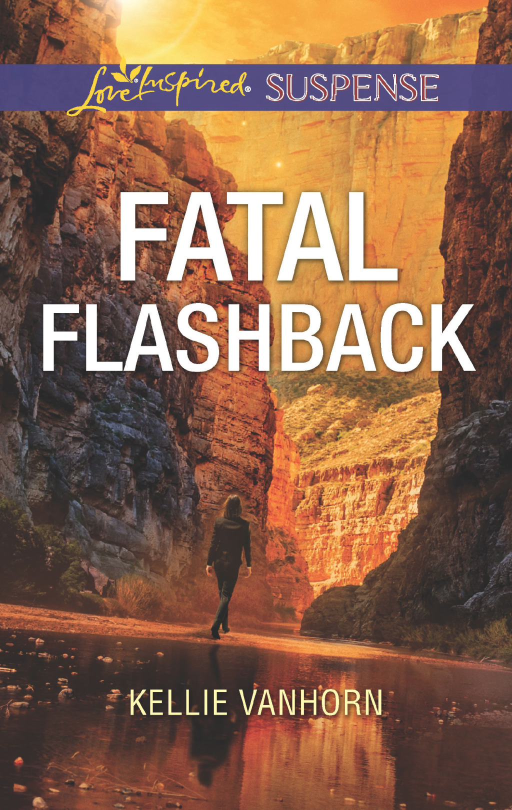Fatal Flashback (eBook)