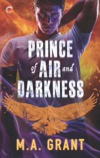表紙画像: Prince of Air and Darkness 9781488051227