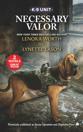 Cover image: Necessary Valor 9781335532992