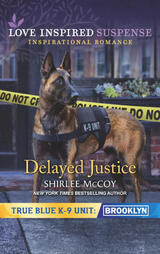 Cover image: Delayed Justice 9781335403148
