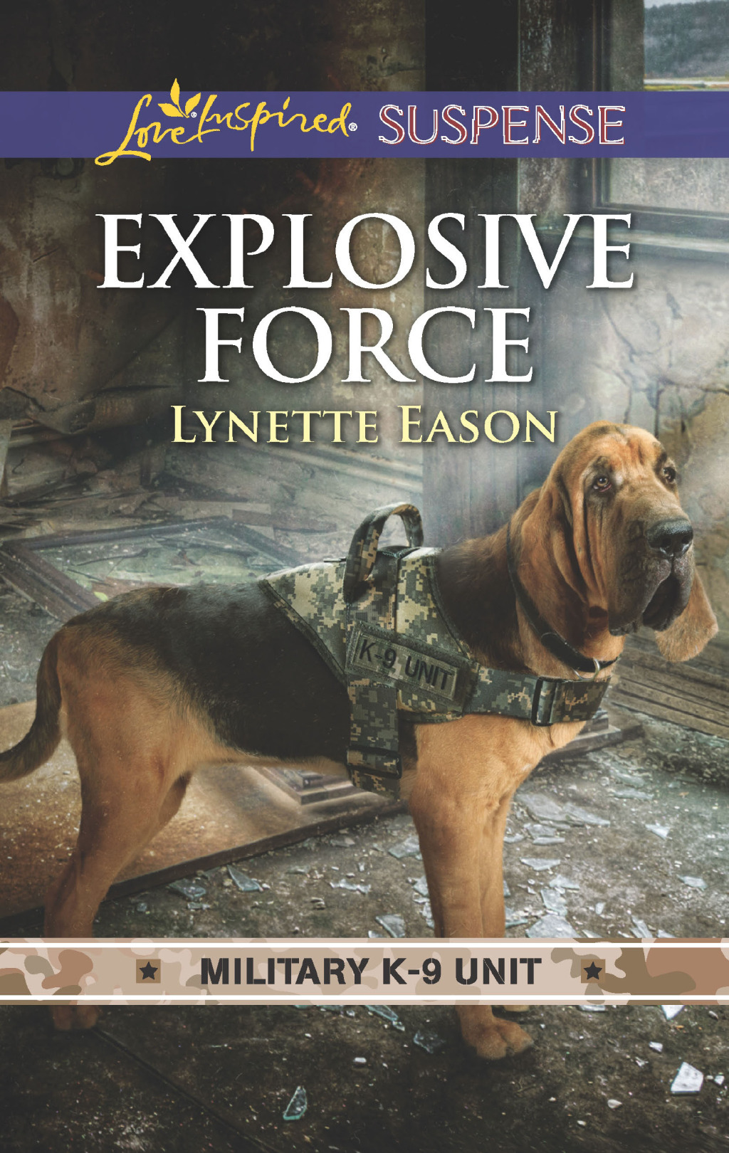 Explosive Force (eBook)